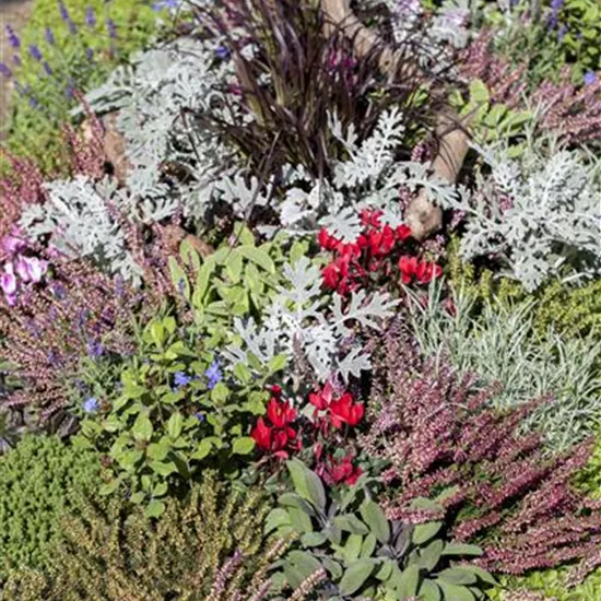 Die Grabpflege im Herbst