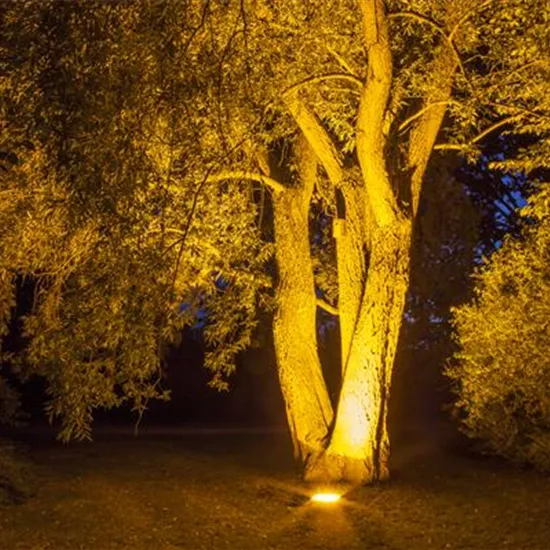 Weihnachts-Lichter-Gärten
