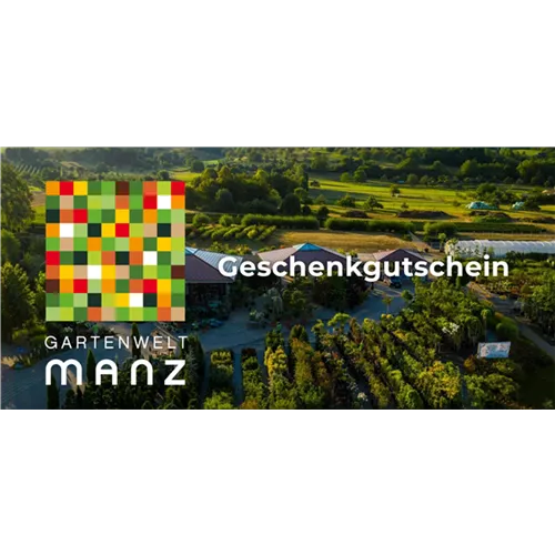 Individueller Gutschein