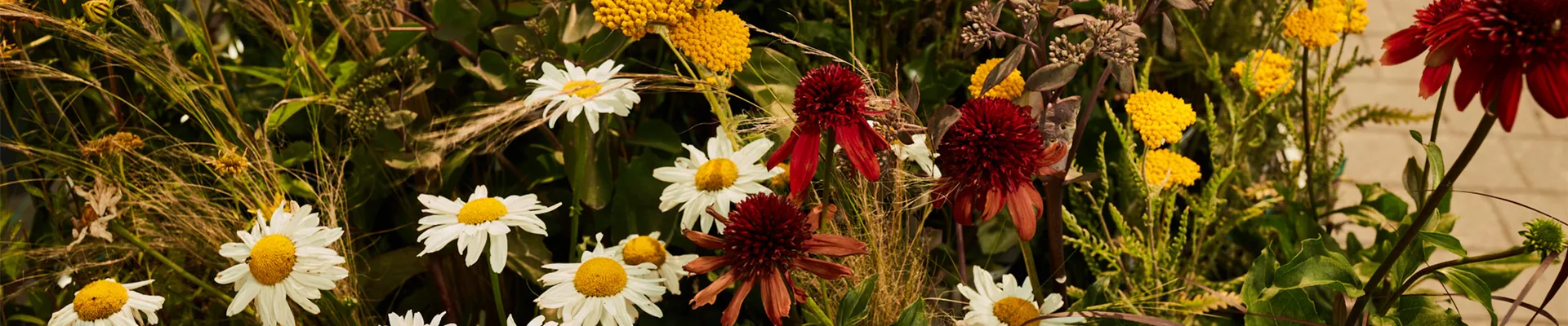 2020-07-28-Manz-Gartenwelt-2020