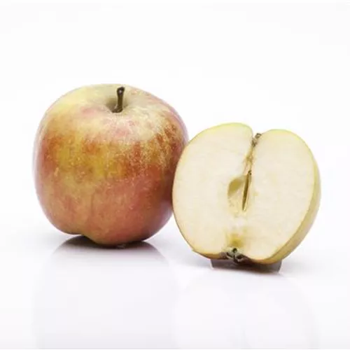 Malus 'Roter Boskoop' CAC