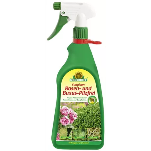 Fungisan Rosen und Buxus Pilzfrei