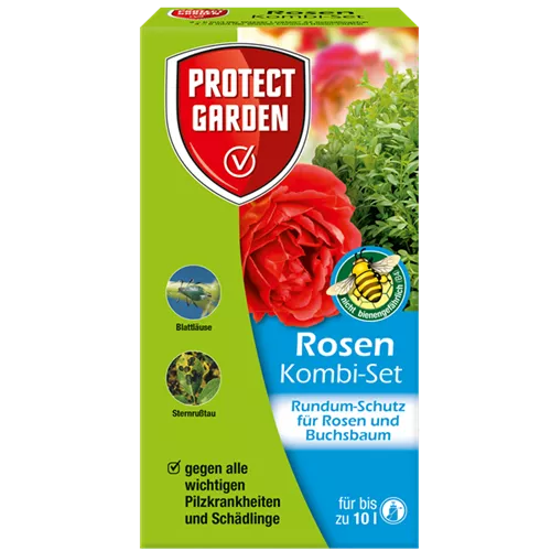 Rosen Kombi Set