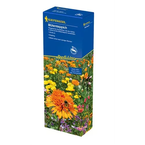 Blütenteppich Samen