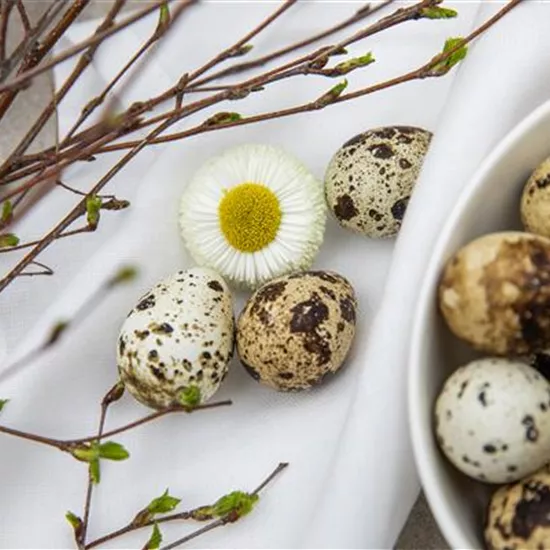 Palmsonntag: grüne Traditionen in der Kirche