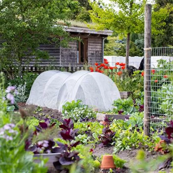 Ein Selbstversorgergarten sorgt für Freiheit