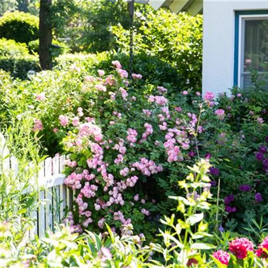 Gartengestaltung – Ideen für den eigenen Garten