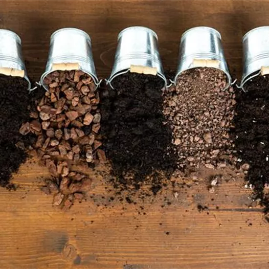 Die passende Erde für die Lieblingspflanzen in Haus und Garten