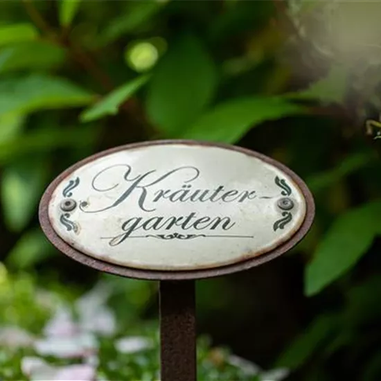 Ernte ohne Garten - Im duftenden Kräutergarten auf dem Balkon
