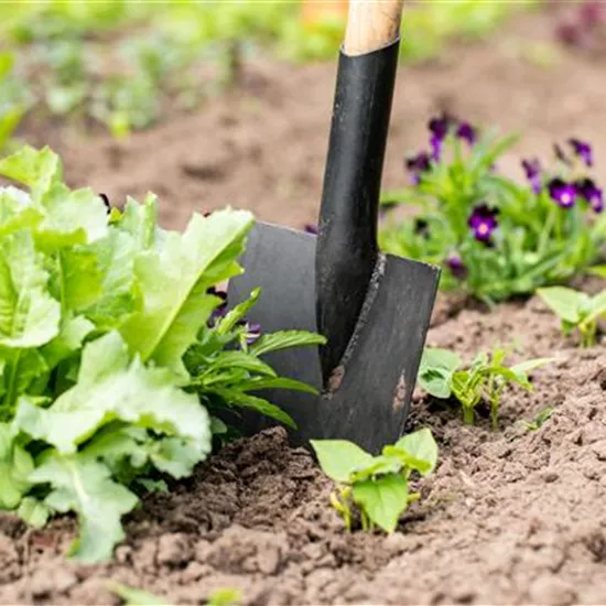 Hilfreiches und praktisches Zubehör zum Gärtnern