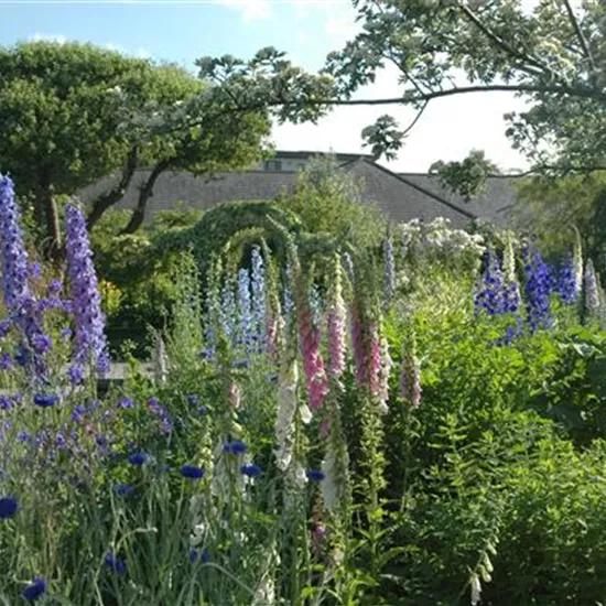 Jetzt ist es wieder soweit: Die Gartengestaltung mit Stauden