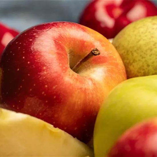 Kern- und Steinobst im eigenen Garten für kleine und große Naschkatzen