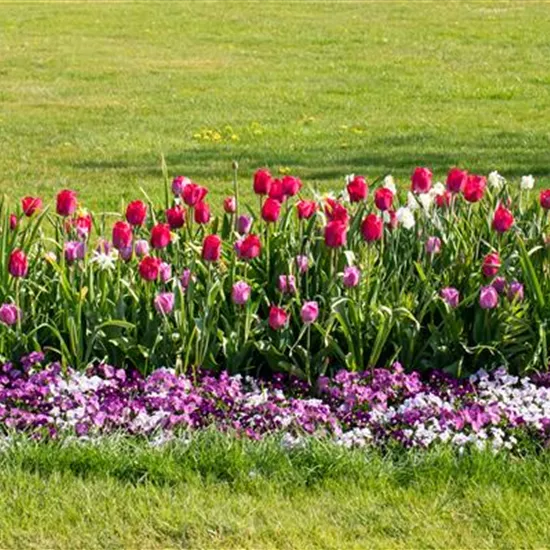 Wie ein pflegeleichter Garten gestaltet wird