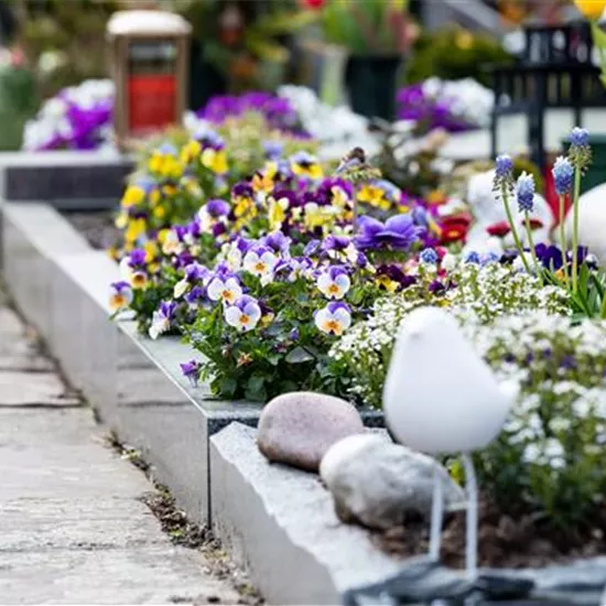 Eine ganzjährige Grabbepflanzung für ein stilvolles Andenken
